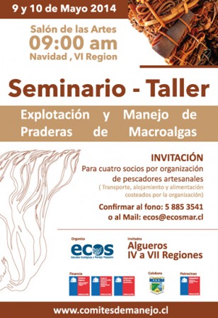 NAVIDAD - "MANEJO Y EXPLOTACIÓN DE PRADERAS DE MACROALGAS, NAVIDAD, VI REGIÓN”